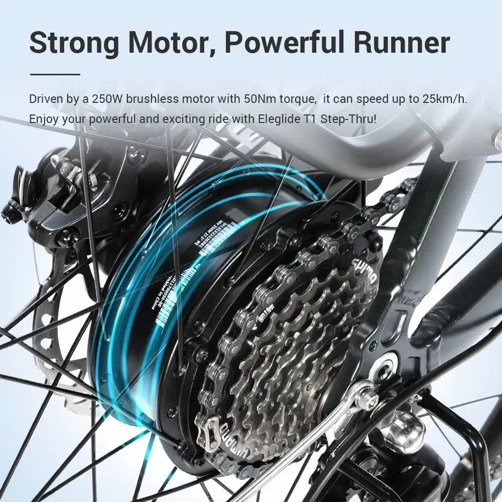 eleglide t1 st elektrinis dviratis juodas 19 kukirin.lt